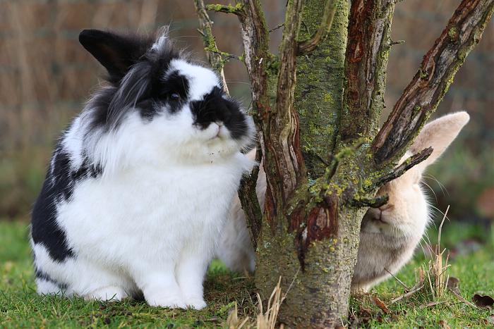 Klicke auf die Grafik f�r eine gr��ere Ansicht

Name:	1.jpg
Hits:	1
Gr��e:	263,2 KB
ID:	215740