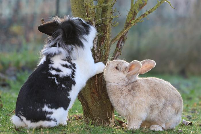 Klicke auf die Grafik f�r eine gr��ere Ansicht

Name:	3.jpg
Hits:	1
Gr��e:	211,2 KB
ID:	215742