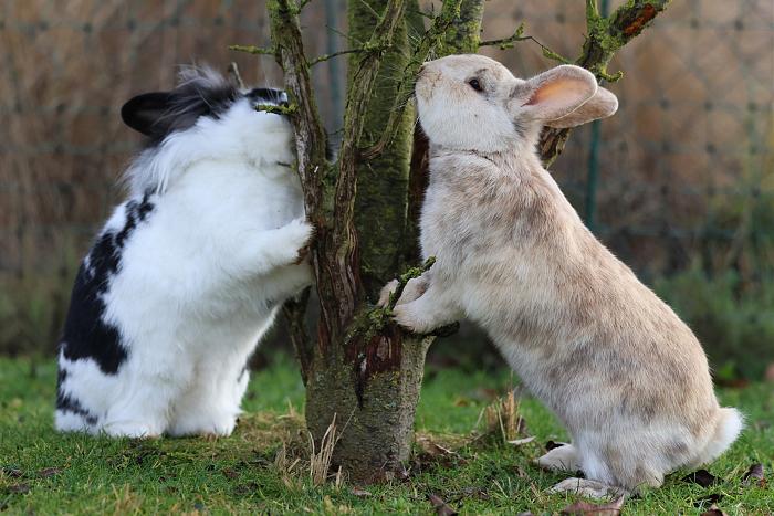 Klicke auf die Grafik f�r eine gr��ere Ansicht

Name:	4.jpg
Hits:	1
Gr��e:	234,5 KB
ID:	215743