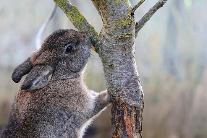 Klicke auf die Grafik f�r eine gr��ere Ansicht

Name:	5.jpg
Hits:	0
Gr��e:	258,1 KB
ID:	215744