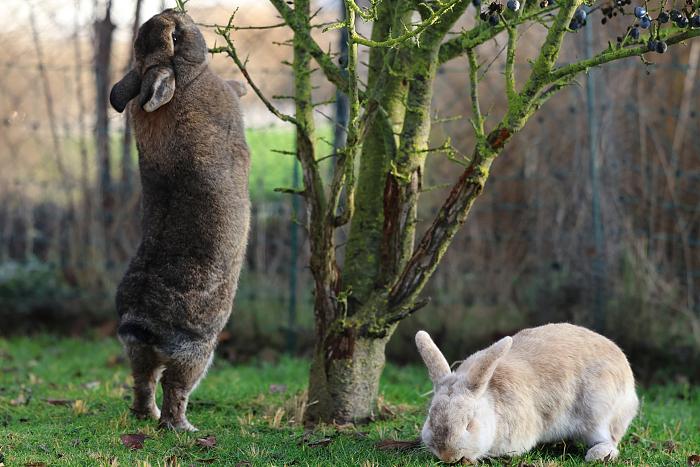 Klicke auf die Grafik f�r eine gr��ere Ansicht

Name:	6.jpg
Hits:	2
Gr��e:	230,3 KB
ID:	215745