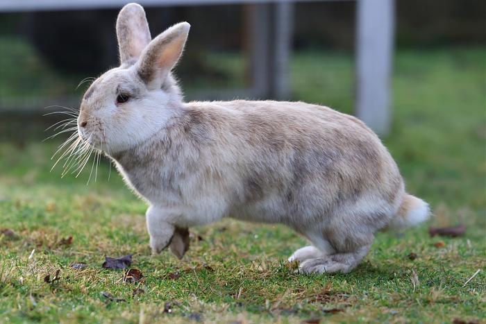 Klicke auf die Grafik f�r eine gr��ere Ansicht

Name:	8.jpg
Hits:	0
Gr��e:	197,8 KB
ID:	215746