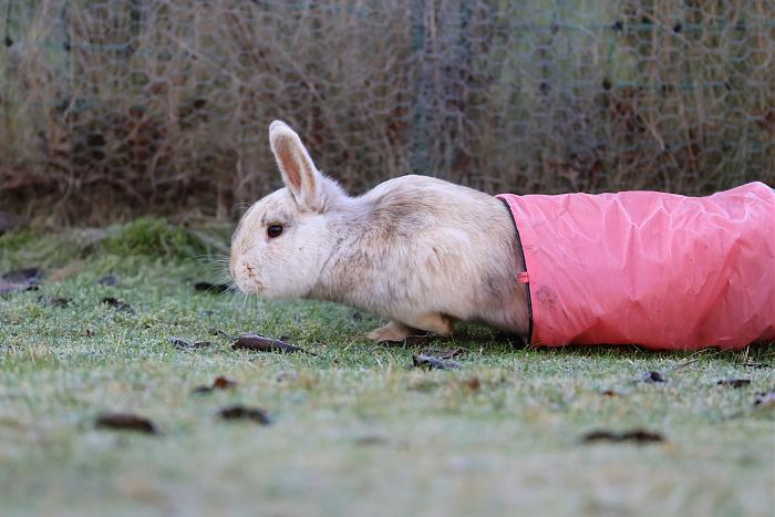 Klicke auf die Grafik f�r eine gr��ere Ansicht

Name:	9.jpg
Hits:	1
Gr��e:	177,2 KB
ID:	215747