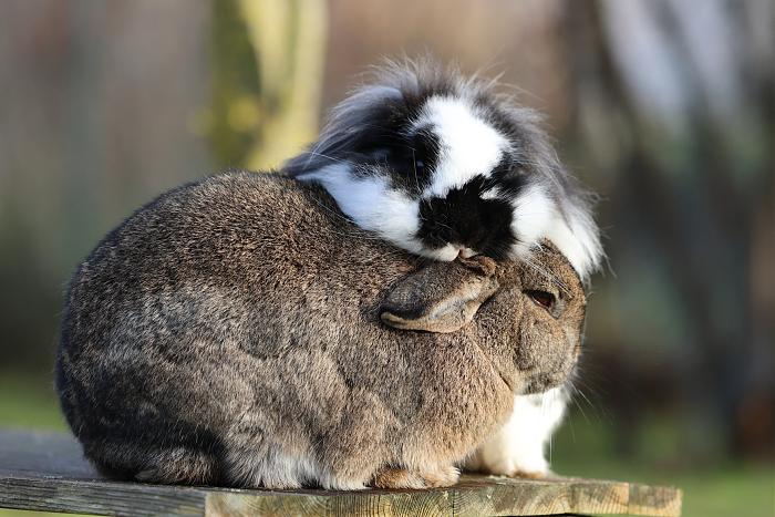 Klicke auf die Grafik f�r eine gr��ere Ansicht

Name:	10.jpg
Hits:	1
Gr��e:	245,2 KB
ID:	215749