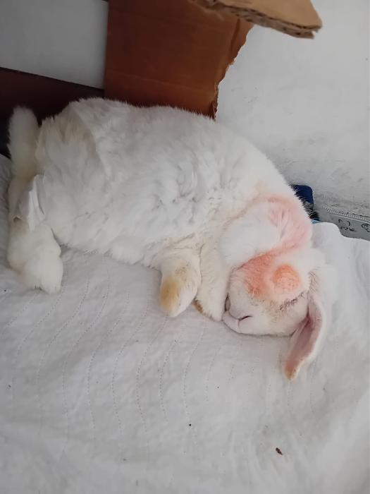 Klicke auf die Grafik f�r eine gr��ere Ansicht

Name:	IMG-20251221-WA0055.jpg
Hits:	0
Gr��e:	72,0 KB
ID:	215754