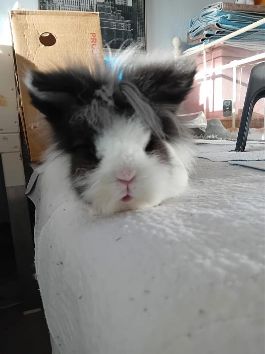 Klicke auf die Grafik f�r eine gr��ere Ansicht

Name:	IMG-20251221-WA0057.jpg
Hits:	0
Gr��e:	117,4 KB
ID:	215756