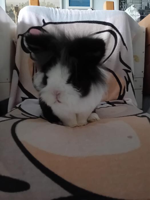 Klicke auf die Grafik f�r eine gr��ere Ansicht

Name:	IMG-20251221-WA0051.jpg
Hits:	0
Gr��e:	81,6 KB
ID:	215757