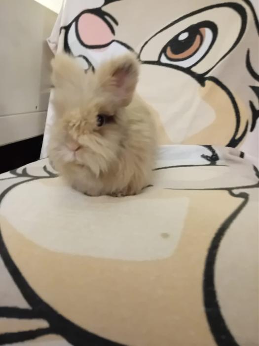 Klicke auf die Grafik f�r eine gr��ere Ansicht

Name:	IMG-20251221-WA0047.jpg
Hits:	0
Gr��e:	73,1 KB
ID:	215760