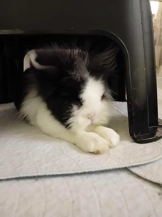 Klicke auf die Grafik f�r eine gr��ere Ansicht

Name:	IMG-20251221-WA0045.jpg
Hits:	0
Gr��e:	72,8 KB
ID:	215762