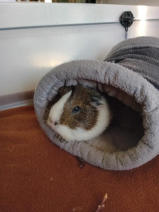 Klicke auf die Grafik f�r eine gr��ere Ansicht

Name:	IMG-20251221-WA0061.jpg
Hits:	0
Gr��e:	158,2 KB
ID:	215766