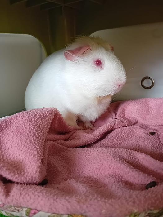 Klicke auf die Grafik f�r eine gr��ere Ansicht

Name:	IMG-20251221-WA0059.jpg
Hits:	0
Gr��e:	132,5 KB
ID:	215768