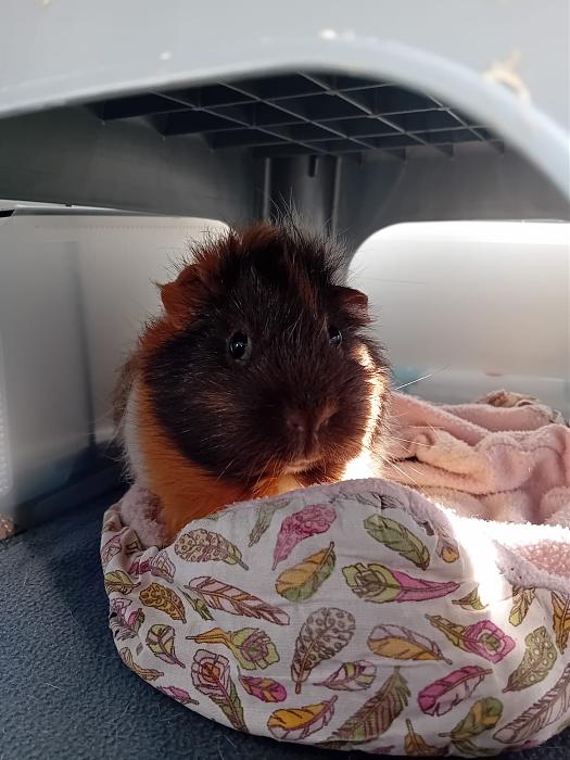 Klicke auf die Grafik f�r eine gr��ere Ansicht

Name:	IMG-20251221-WA0058.jpg
Hits:	0
Gr��e:	179,9 KB
ID:	215769