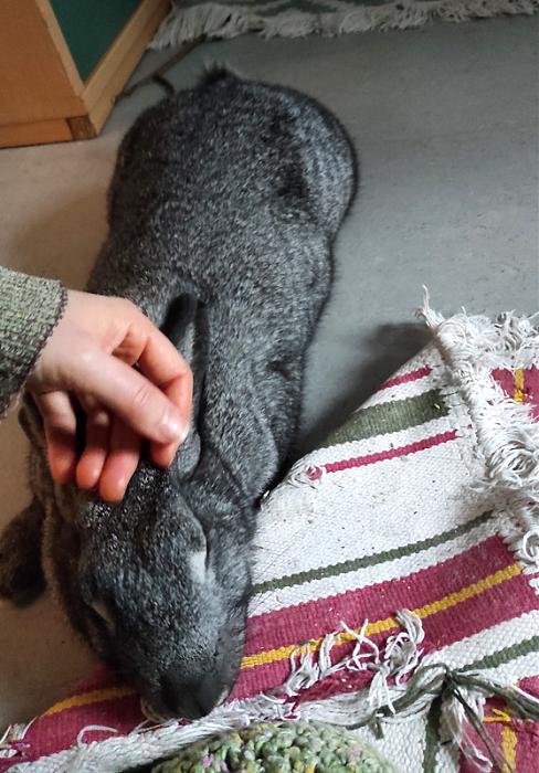 Klicke auf die Grafik f�r eine gr��ere Ansicht

Name:	WEB-IMG_20251222_134429.jpg
Hits:	0
Gr��e:	190,1 KB
ID:	215782