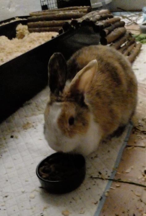 Klicke auf die Grafik f�r eine gr��ere Ansicht

Name:	IMG-20251224-WA0013.jpg
Hits:	1
Gr��e:	103,9 KB
ID:	215804