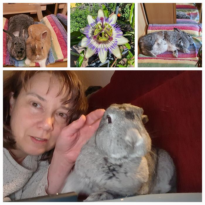 Klicke auf die Grafik f�r eine gr��ere Ansicht

Name:	20251112_070809.jpg
Hits:	2
Gr��e:	309,3 KB
ID:	215817