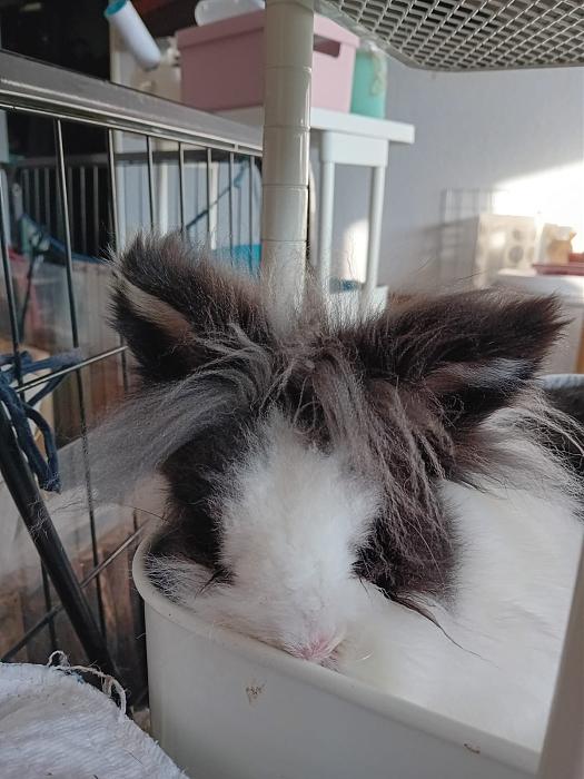 Klicke auf die Grafik f�r eine gr��ere Ansicht

Name:	IMG-20251228-WA0044.jpg
Hits:	0
Gr��e:	179,5 KB
ID:	215820