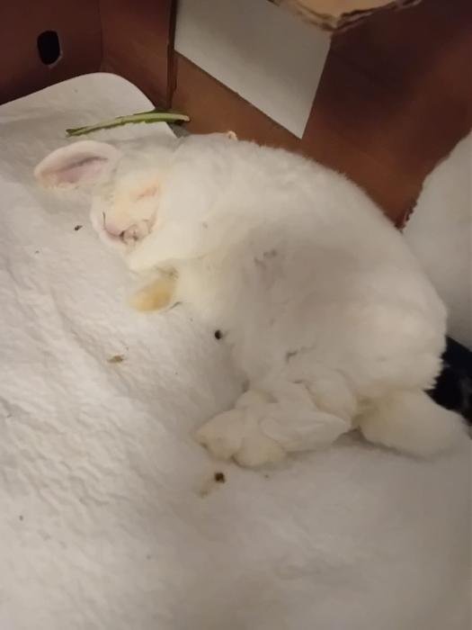 Klicke auf die Grafik f�r eine gr��ere Ansicht

Name:	IMG-20251228-WA0040.jpg
Hits:	0
Gr��e:	60,3 KB
ID:	215821