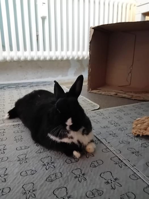 Klicke auf die Grafik f�r eine gr��ere Ansicht

Name:	IMG-20251228-WA0042.jpg
Hits:	0
Gr��e:	113,7 KB
ID:	215822