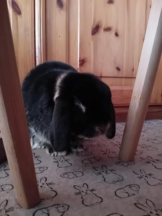 Klicke auf die Grafik f�r eine gr��ere Ansicht

Name:	IMG-20251228-WA0043.jpg
Hits:	0
Gr��e:	123,5 KB
ID:	215826