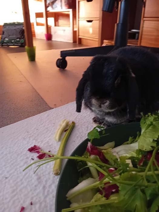 Klicke auf die Grafik f�r eine gr��ere Ansicht

Name:	IMG-20251228-WA0047.jpg
Hits:	0
Gr��e:	114,6 KB
ID:	215827