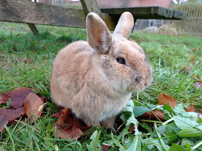 Klicke auf die Grafik f�r eine gr��ere Ansicht

Name:	Sam 4.jpg
Hits:	0
Gr��e:	92,3 KB
ID:	215832