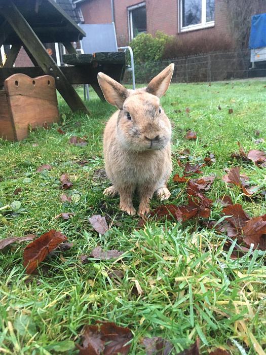 Klicke auf die Grafik f�r eine gr��ere Ansicht

Name:	Sam 3.jpg
Hits:	0
Gr��e:	325,0 KB
ID:	215833