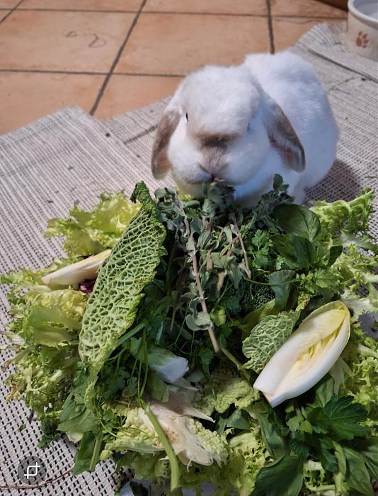 Klicke auf die Grafik f�r eine gr��ere Ansicht

Name:	Screenshot_20251228_230350_Gallery.jpg
Hits:	0
Gr��e:	199,4 KB
ID:	215837