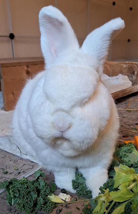 Klicke auf die Grafik f�r eine gr��ere Ansicht

Name:	Screenshot_20251228_225359_Gallery.jpg
Hits:	0
Gr��e:	147,7 KB
ID:	215842