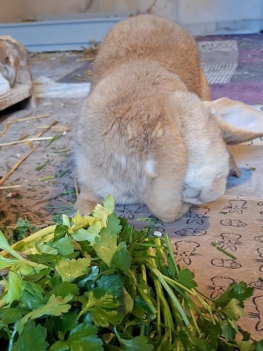 Klicke auf die Grafik f�r eine gr��ere Ansicht

Name:	Screenshot_20251228_225458_Gallery.jpg
Hits:	0
Gr��e:	162,7 KB
ID:	215843