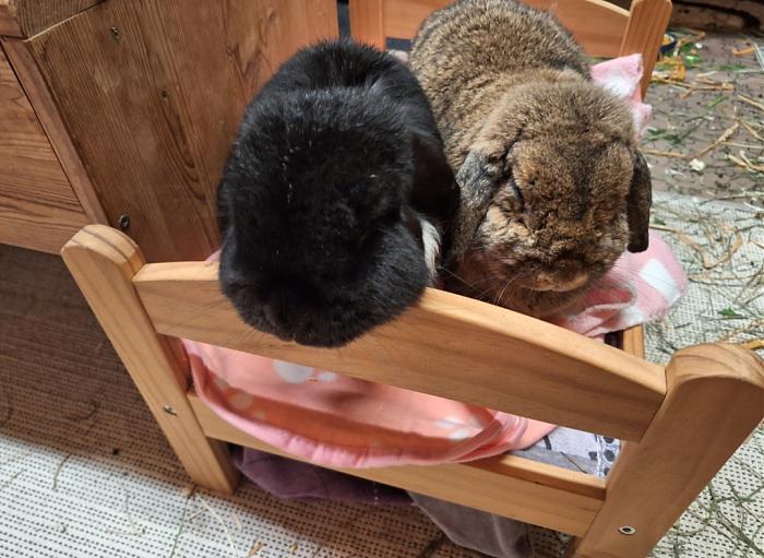 Klicke auf die Grafik f�r eine gr��ere Ansicht

Name:	Screenshot_20251228_230422_Gallery.jpg
Hits:	0
Gr��e:	270,3 KB
ID:	215845