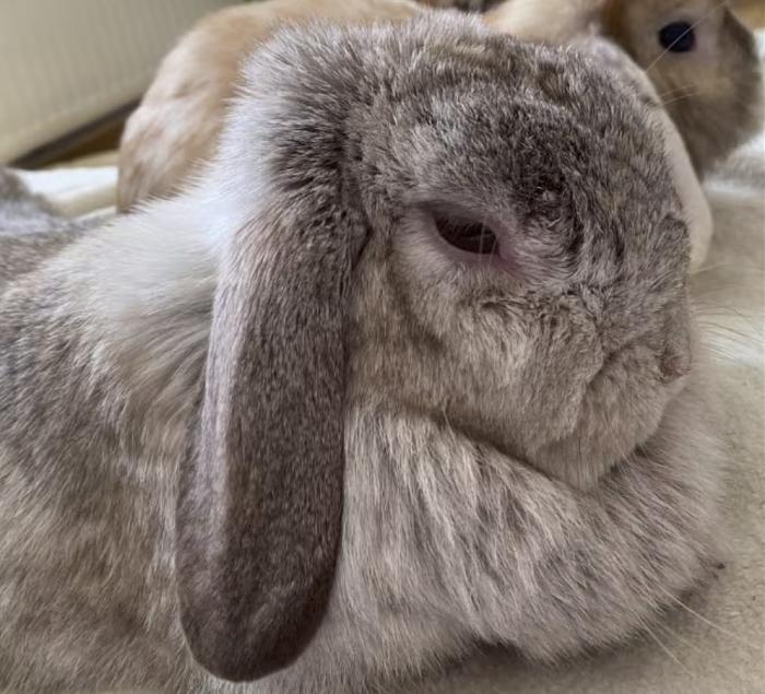 Klicke auf die Grafik f�r eine gr��ere Ansicht

Name:	Bildschirmfoto 2026-01-02 um 17.31.04.jpg
Hits:	0
Gr��e:	56,5 KB
ID:	215872