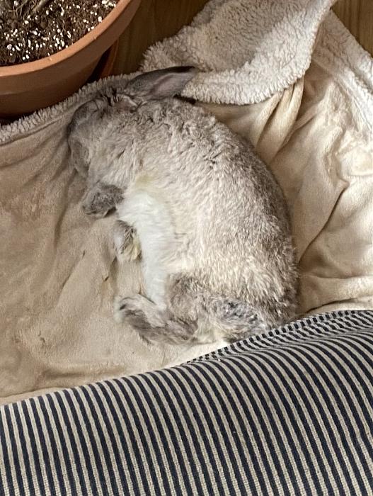 Klicke auf die Grafik f�r eine gr��ere Ansicht

Name:	IMG_2293.jpg
Hits:	0
Gr��e:	58,0 KB
ID:	215873