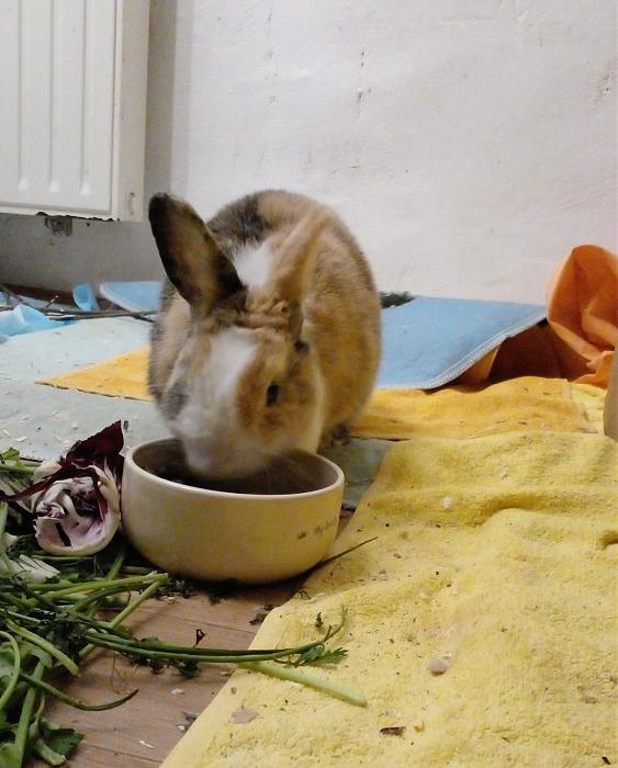 Klicke auf die Grafik f�r eine gr��ere Ansicht

Name:	IMG-20260101-WA0014.jpg
Hits:	0
Gr��e:	159,3 KB
ID:	215886