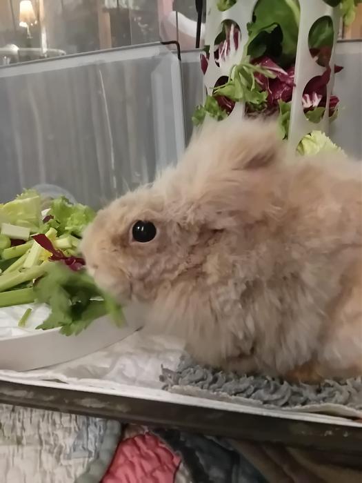 Klicke auf die Grafik f�r eine gr��ere Ansicht

Name:	IMG-20260104-WA0053.jpg
Hits:	0
Gr��e:	108,0 KB
ID:	215896