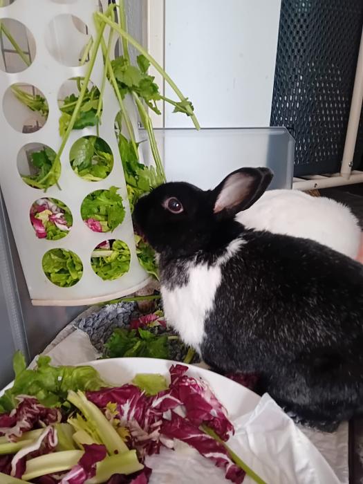 Klicke auf die Grafik f�r eine gr��ere Ansicht

Name:	IMG-20260104-WA0058.jpg
Hits:	0
Gr��e:	154,9 KB
ID:	215900