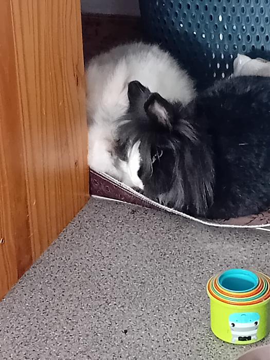 Klicke auf die Grafik f�r eine gr��ere Ansicht

Name:	IMG-20260104-WA0059.jpg
Hits:	0
Gr��e:	176,3 KB
ID:	215907