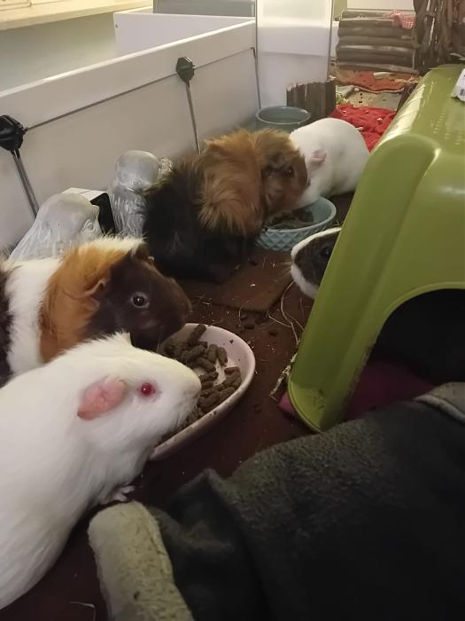 Klicke auf die Grafik f�r eine gr��ere Ansicht

Name:	IMG-20260104-WA0055.jpg
Hits:	0
Gr��e:	96,7 KB
ID:	215911