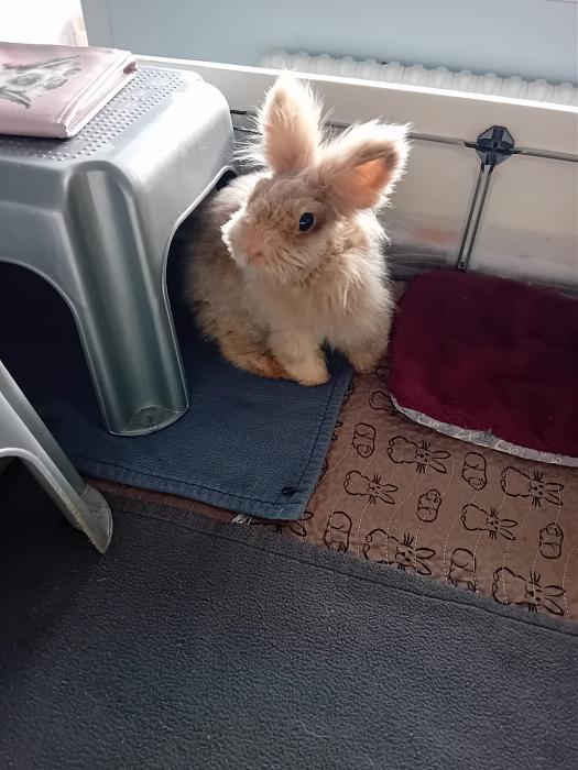 Klicke auf die Grafik f�r eine gr��ere Ansicht

Name:	IMG-20260104-WA0070.jpg
Hits:	0
Gr��e:	178,1 KB
ID:	215912