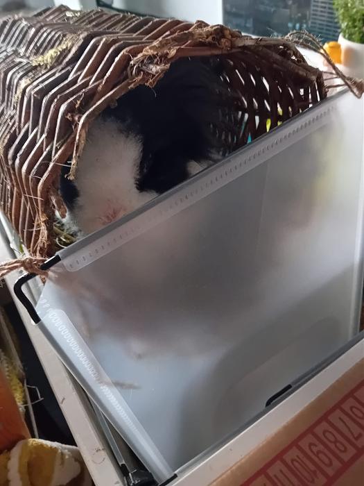 Klicke auf die Grafik f�r eine gr��ere Ansicht

Name:	IMG-20260104-WA0069.jpg
Hits:	0
Gr��e:	142,9 KB
ID:	215913