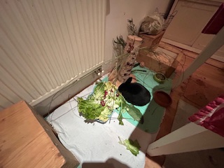 Klicke auf die Grafik f�r eine gr��ere Ansicht

Name:	IMG_0592.jpg
Hits:	55
Gr��e:	39,8 KB
ID:	215975