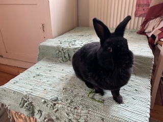 Klicke auf die Grafik f�r eine gr��ere Ansicht

Name:	IMG_0528.jpg
Hits:	58
Gr��e:	49,0 KB
ID:	215983