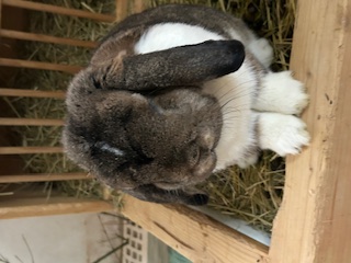 Klicke auf die Grafik f�r eine gr��ere Ansicht

Name:	IMG_0509.jpg
Hits:	59
Gr��e:	42,4 KB
ID:	215984