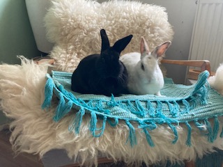 Klicke auf die Grafik f�r eine gr��ere Ansicht

Name:	IMG_3858.jpg
Hits:	56
Gr��e:	29,4 KB
ID:	215991