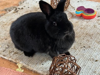 Klicke auf die Grafik f�r eine gr��ere Ansicht

Name:	IMG_0687.jpg
Hits:	58
Gr��e:	115,8 KB
ID:	215992