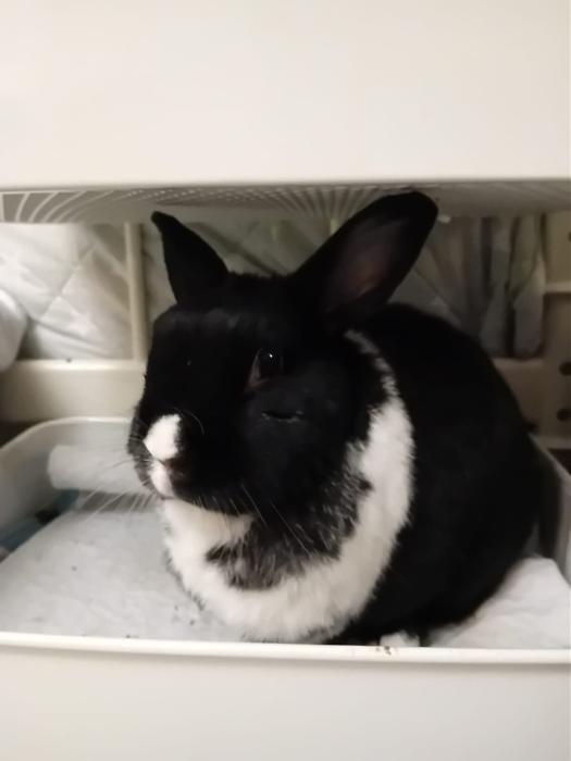 Klicke auf die Grafik f�r eine gr��ere Ansicht

Name:	IMG-20260111-WA0056.jpg
Hits:	0
Gr��e:	59,1 KB
ID:	216006