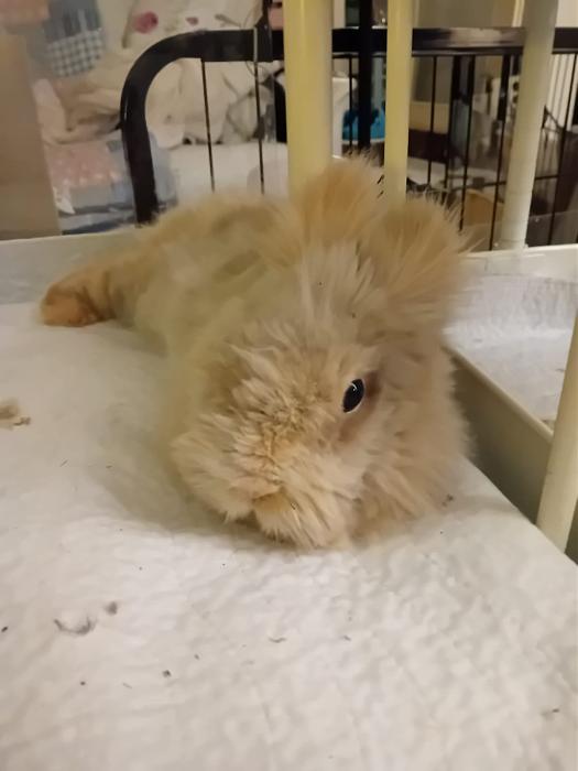 Klicke auf die Grafik f�r eine gr��ere Ansicht

Name:	IMG-20260111-WA0052.jpg
Hits:	0
Gr��e:	82,7 KB
ID:	216007