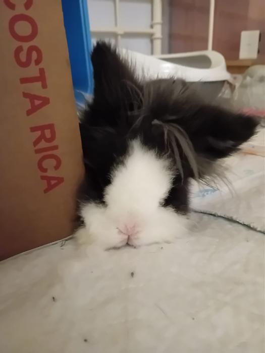 Klicke auf die Grafik f�r eine gr��ere Ansicht

Name:	IMG-20260111-WA0054.jpg
Hits:	0
Gr��e:	66,8 KB
ID:	216009