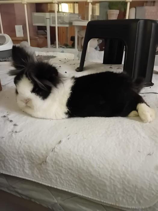 Klicke auf die Grafik f�r eine gr��ere Ansicht

Name:	IMG-20260111-WA0049.jpg
Hits:	0
Gr��e:	92,9 KB
ID:	216010