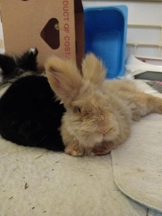 Klicke auf die Grafik f�r eine gr��ere Ansicht

Name:	IMG-20260111-WA0047.jpg
Hits:	0
Gr��e:	140,5 KB
ID:	216012