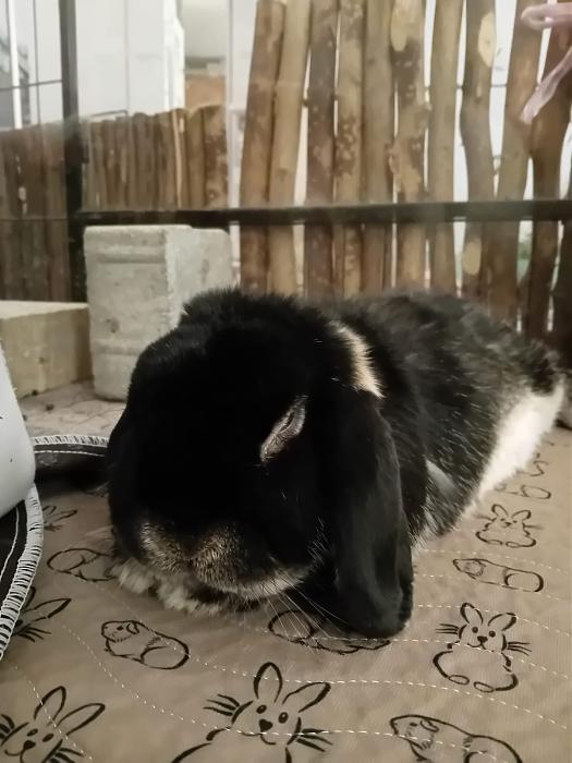 Klicke auf die Grafik f�r eine gr��ere Ansicht

Name:	IMG-20260111-WA0055.jpg
Hits:	1
Gr��e:	128,3 KB
ID:	216013